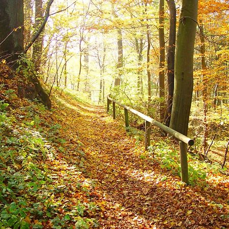Klostergasthof Roggenburg Dış mekan fotoğraf