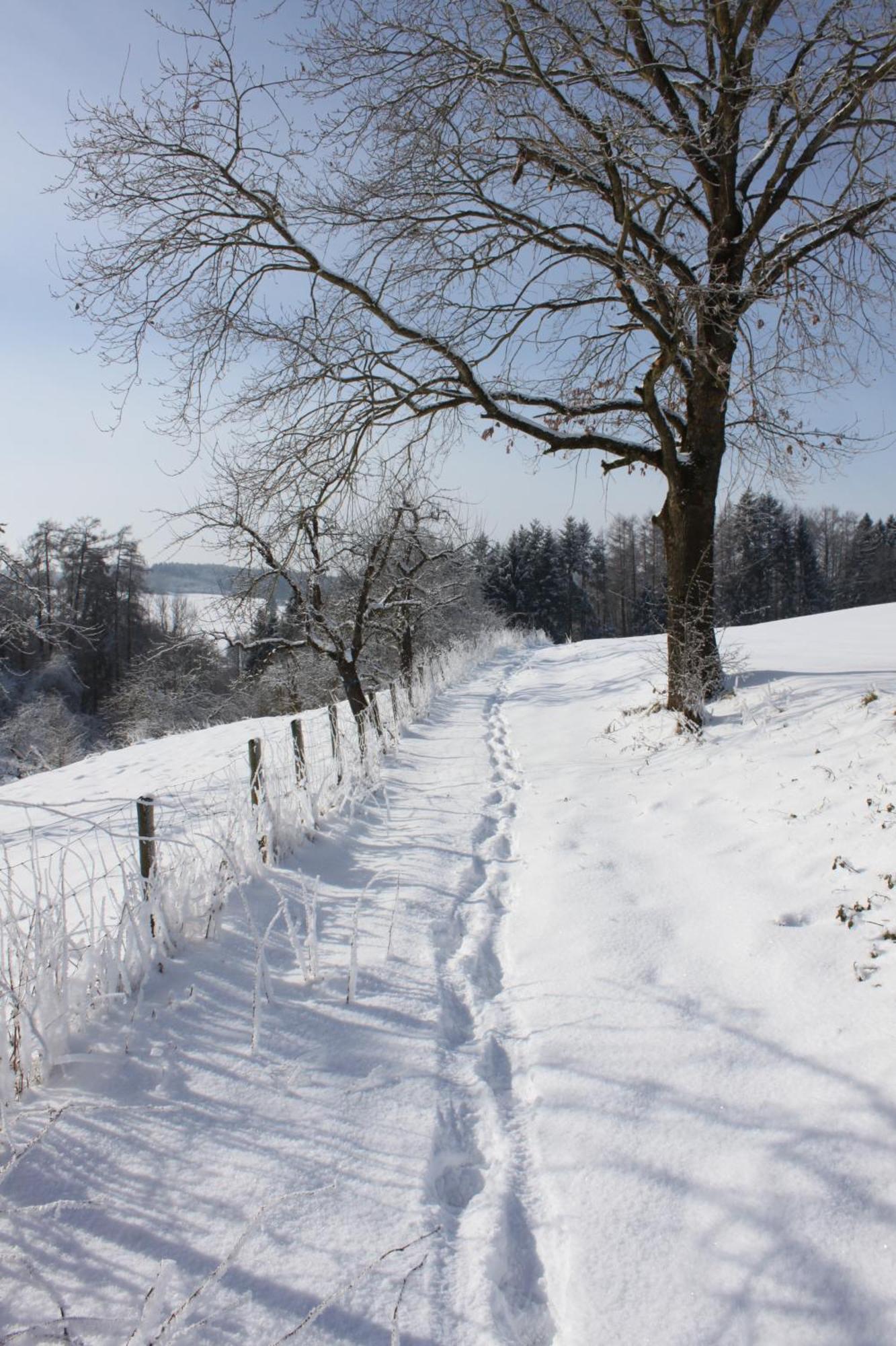 Klostergasthof Roggenburg Dış mekan fotoğraf